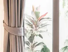 开云登录网址入口-窗口期国王杯焦点战，勒沃库森豪取连胜，信心回归，球队文化再被提及(拜仁62大胜勒沃库森)